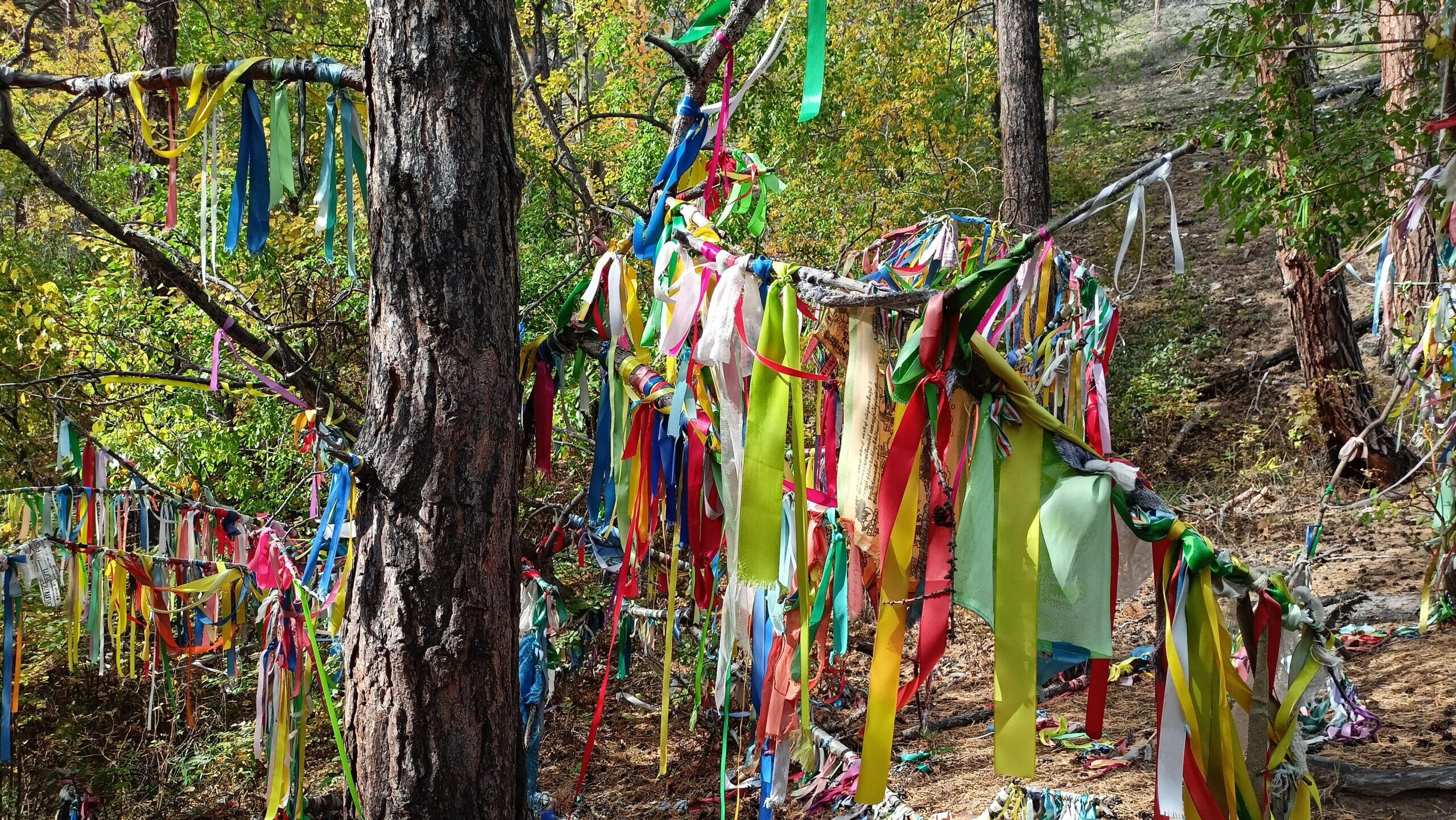 Как живут люди на острове Ольхон: репортаж Добро.Медиа