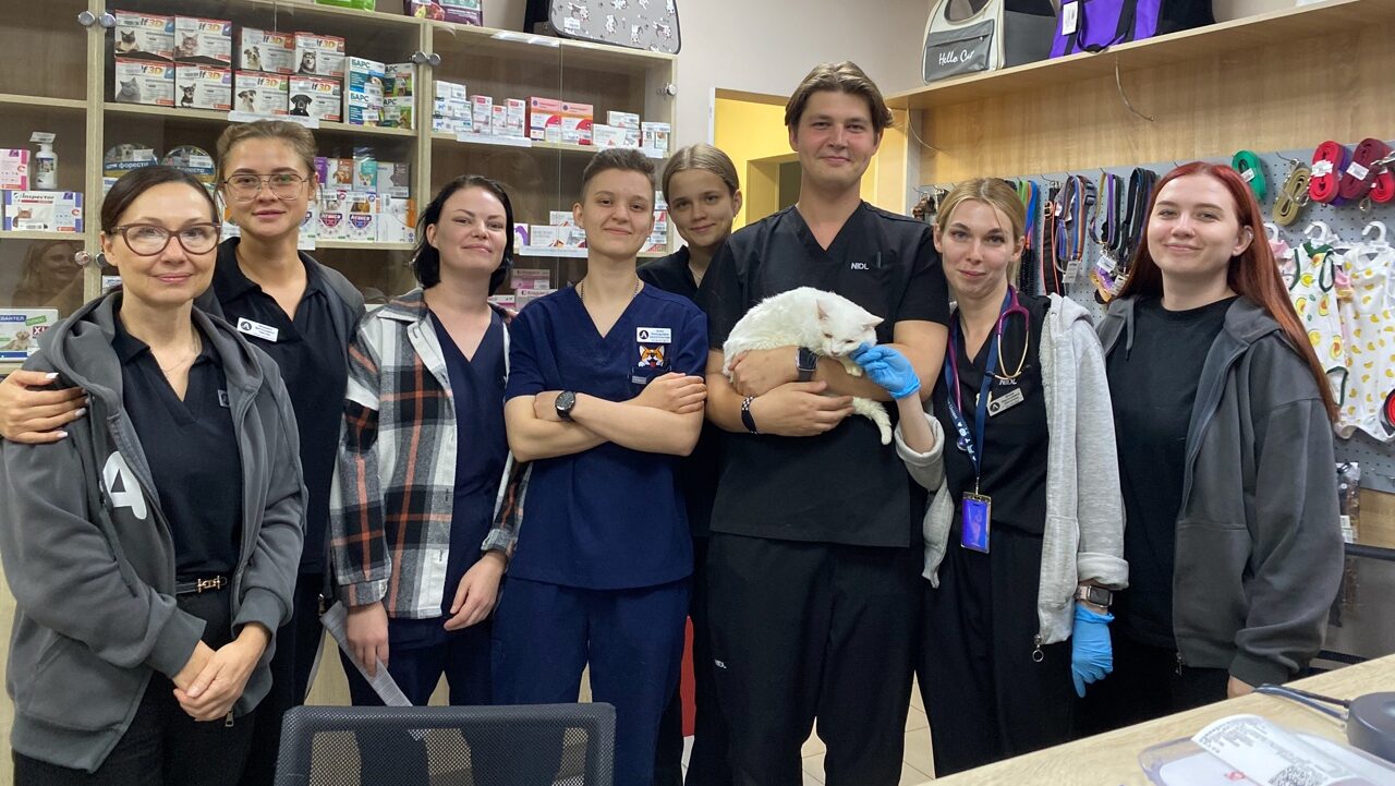 Не смогли расстаться: ветеринары несколько месяцев выхаживали кота и сделали его своим питомцем