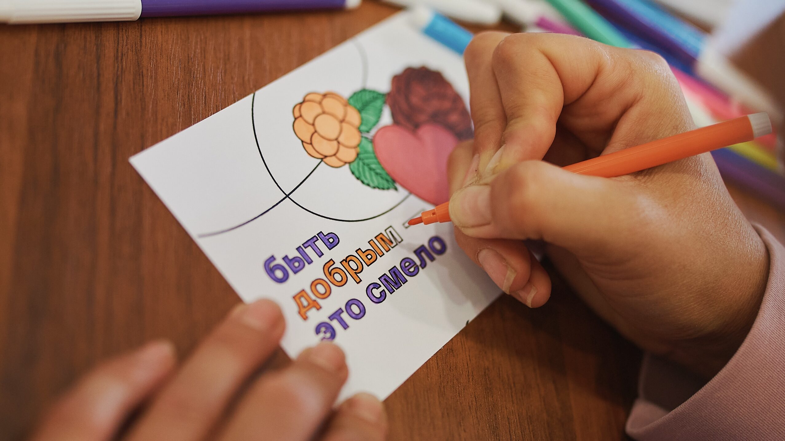 Сколько в России СО НКО: ответил гендиректор Фонда президентских грантов