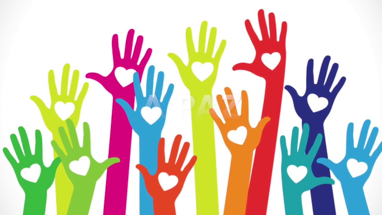 Как отличить культурное волонтерство от смежных форм добровольчества