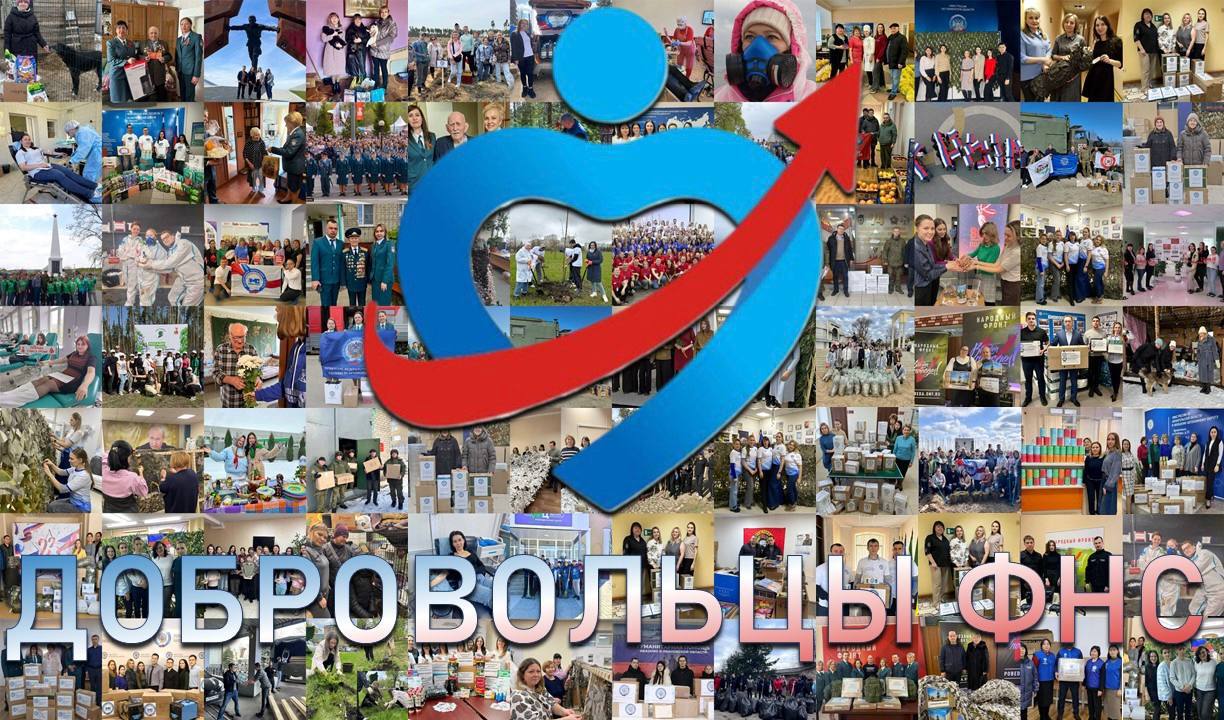 Всё началось с доброй инициативы: кто такие Добровольцы ФНС?