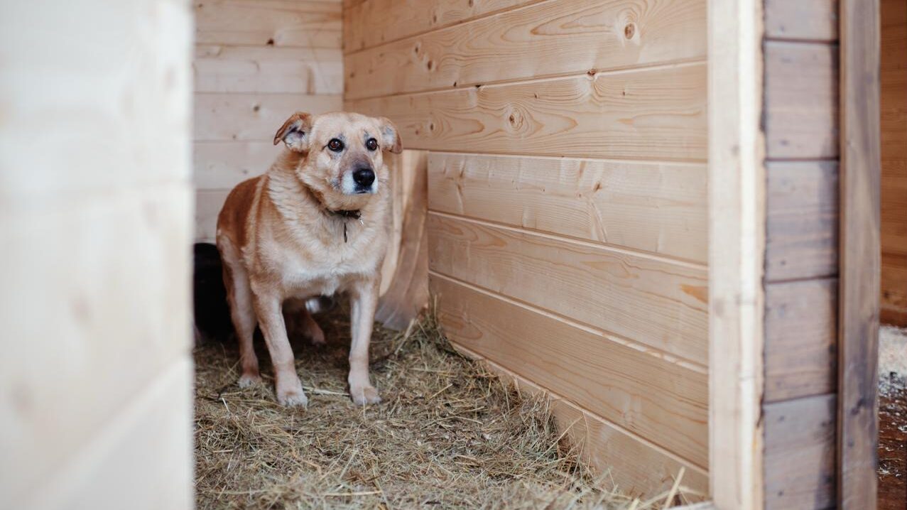Куда пожертвовать деньги и вещи: топ-100 фондов