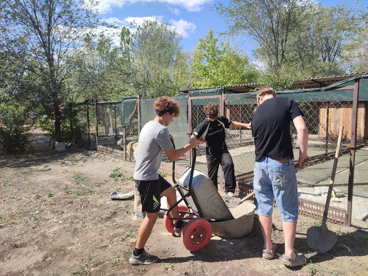 Помощь хвостикам