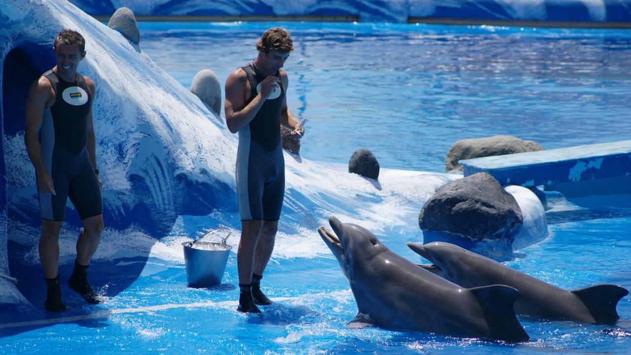 12 сентября: какой сегодня праздник отмечают в России и мире?