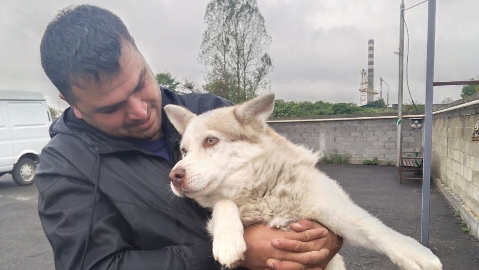 Трогательное видео: хозяин нашёл своего пса спустя месяц