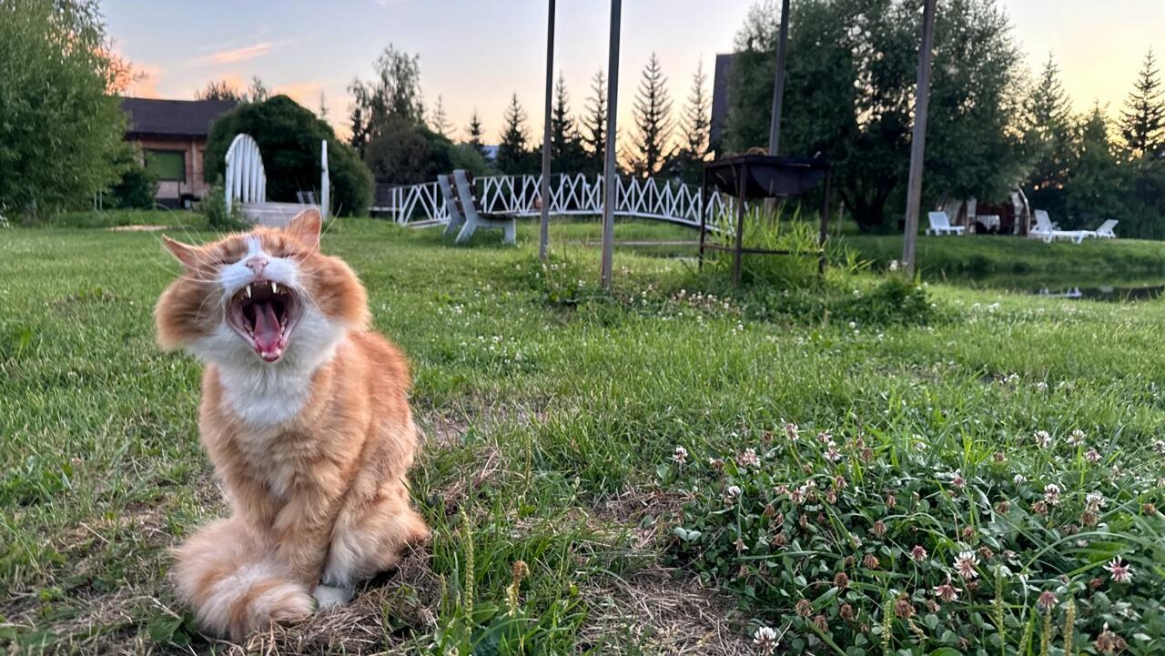 28 сентября: какой сегодня праздник отмечают в России и мире?