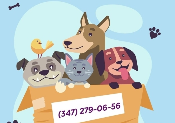 Акция «Большая помощь маленьким друзьям»