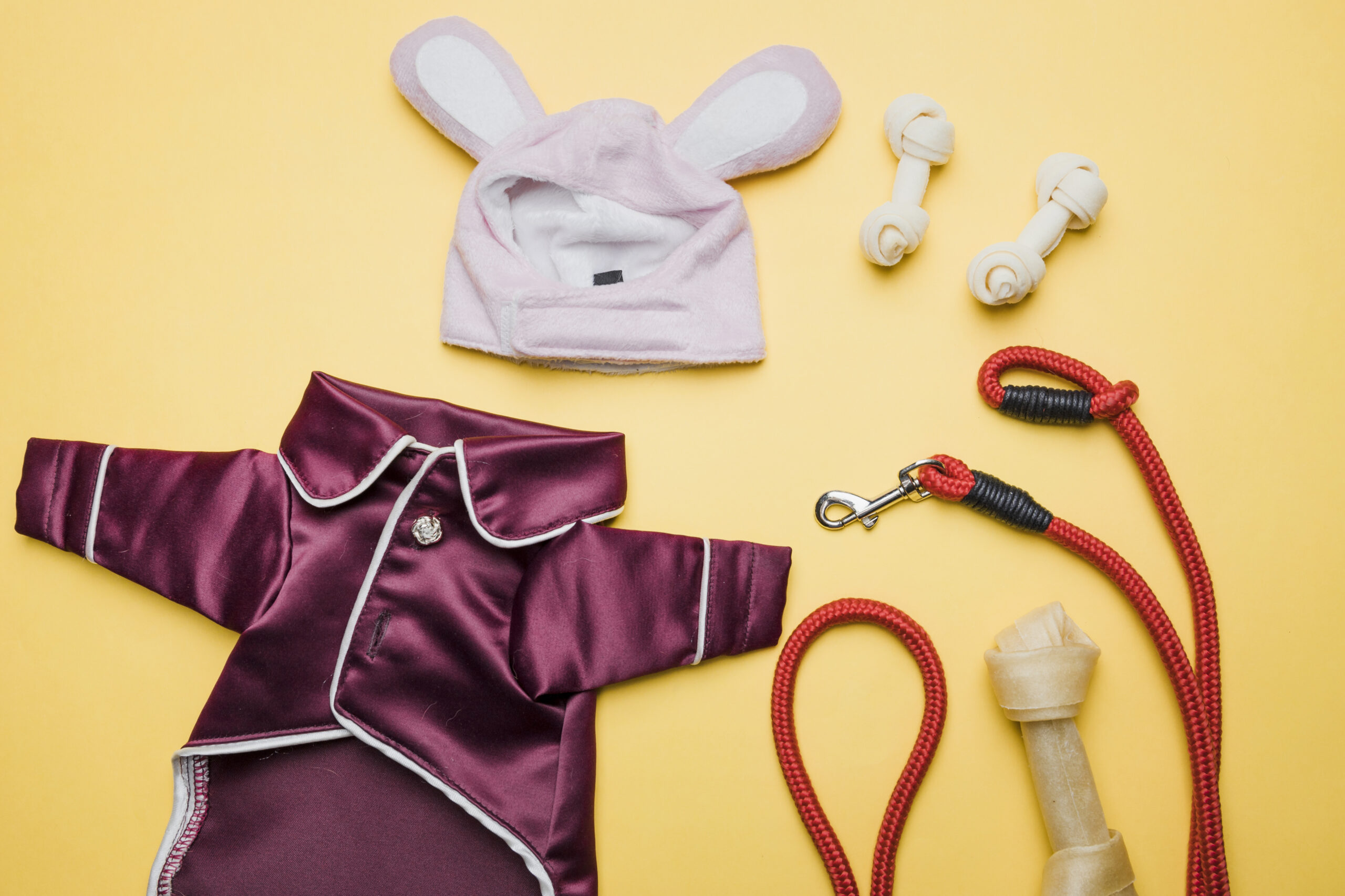 одежда для собак