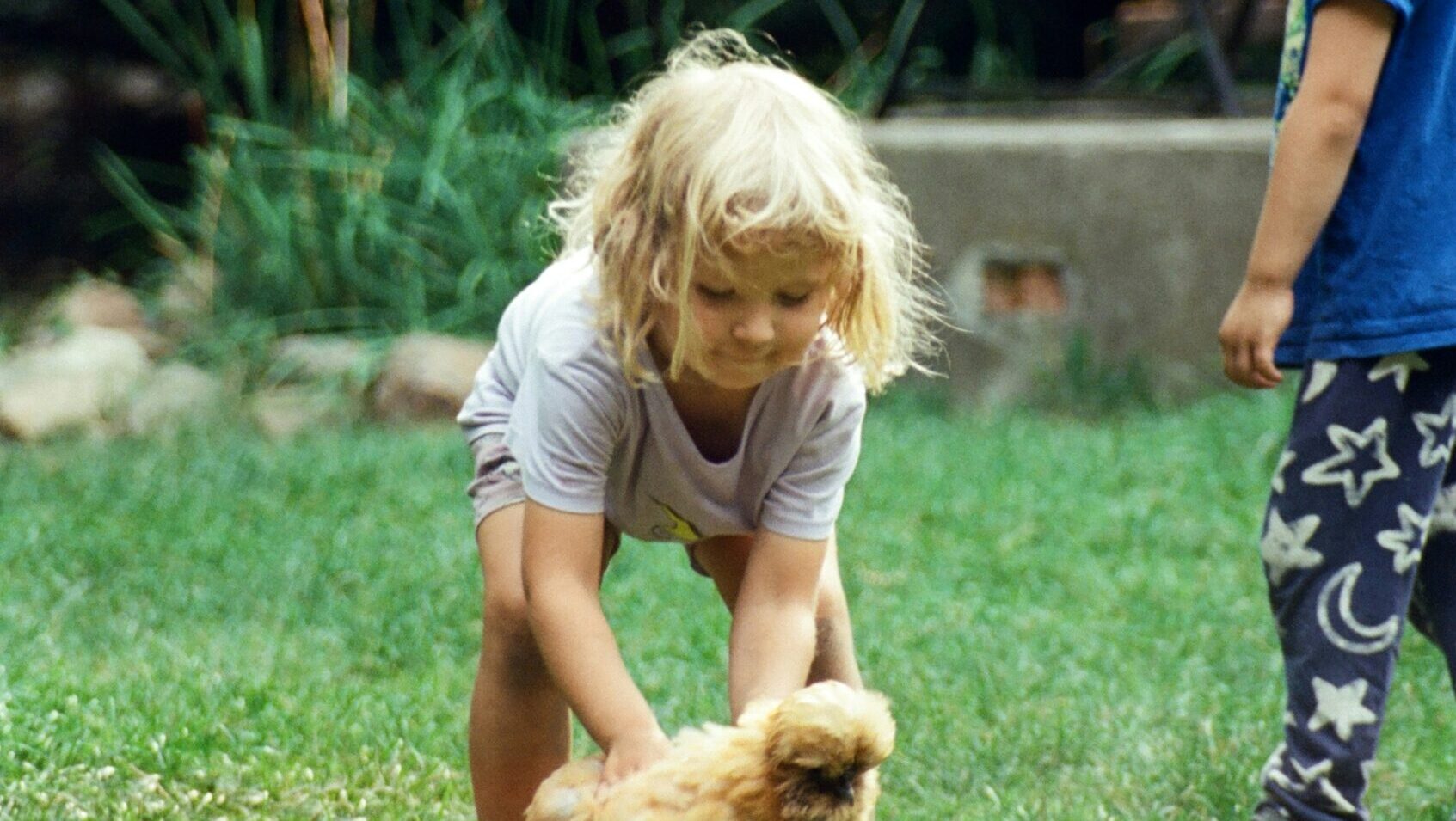 Как закрыть благотворительный сбор? Лайфхаки маркетолога