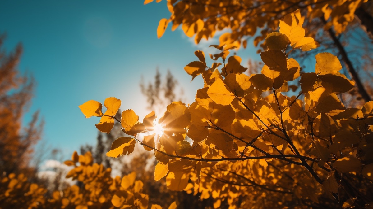 День осеннего равноденствия-2025: история, традиции и приметы