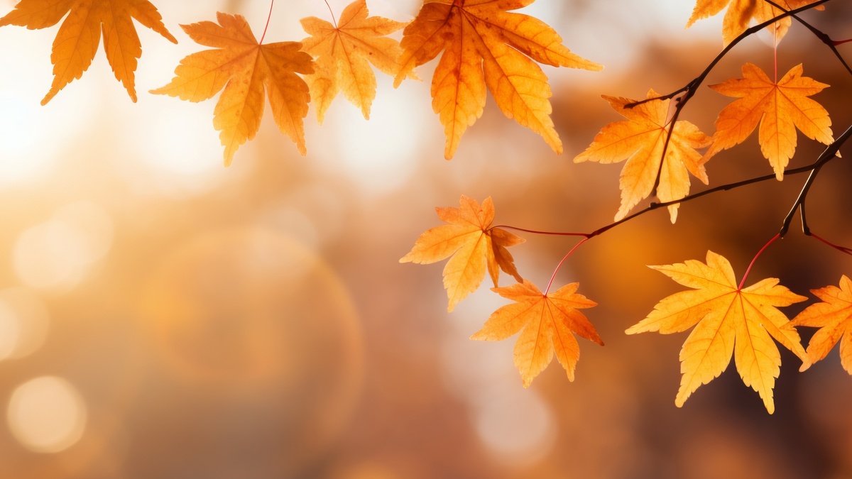 Осенины-2025: история праздника, традиции и приметы