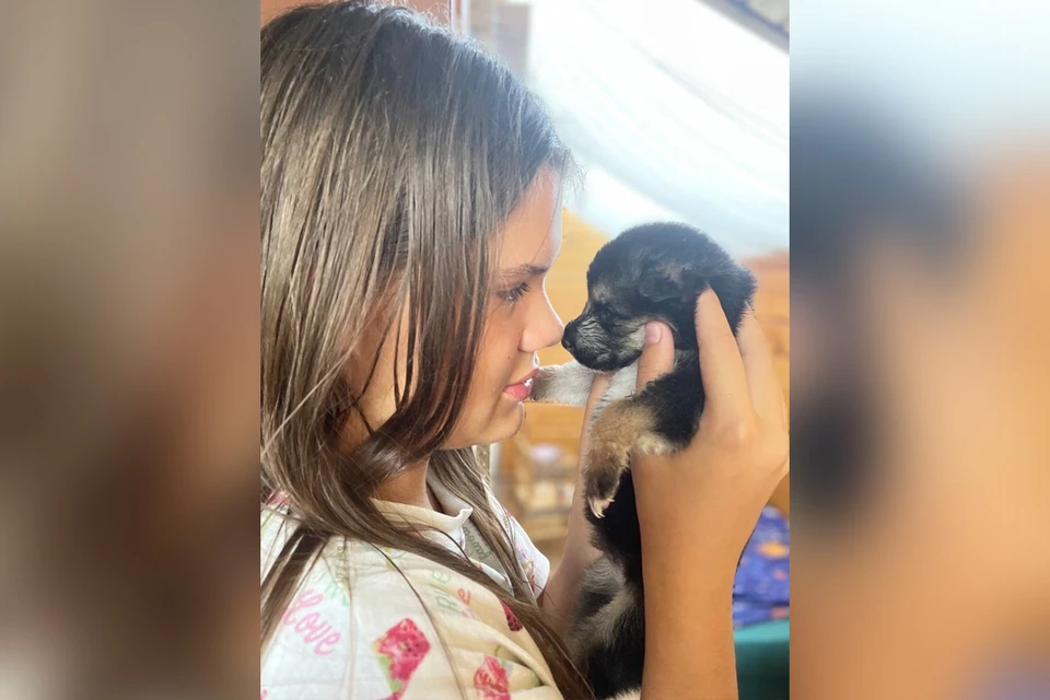 В Перми школьница спасла крошечных щенков с мусорки