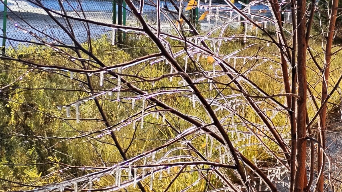 Магия замерзшего понедельника