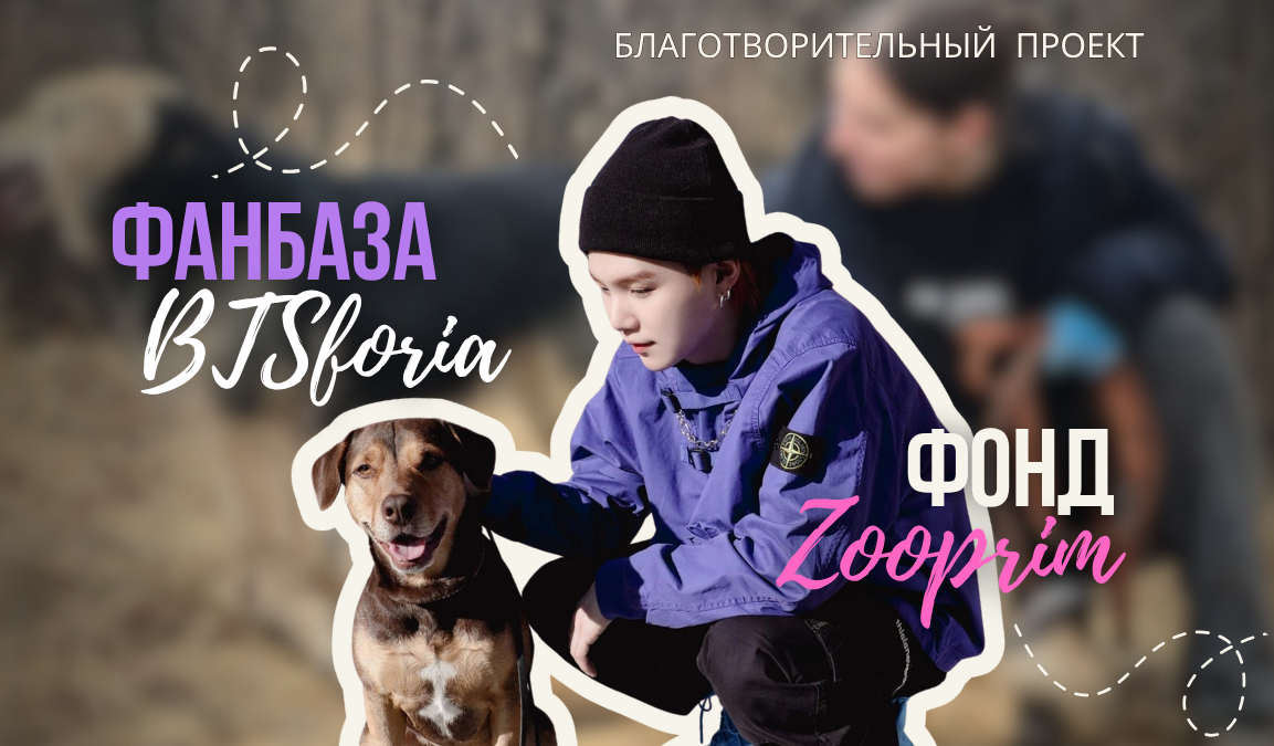 Благотворительный проект помощи бездомным животным, приуроченный к 12-ой годовщине BTS