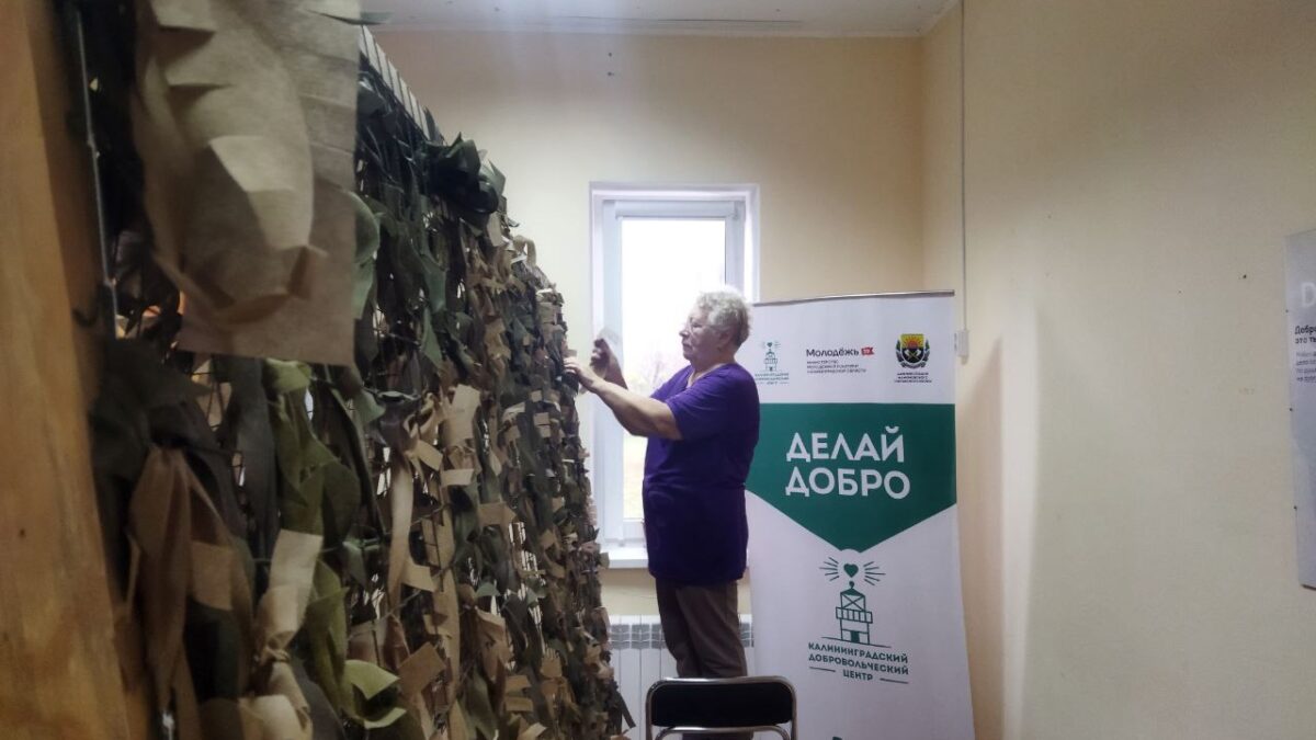 Серебряные волонтёры Мамоново делятся опытом и помогают в разных направлениях добровольчества