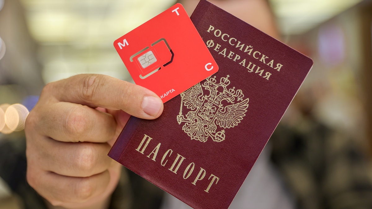 Пенсии, налоги и SIM-карты: какие законы вступают в силу 1 ноября 2025 года в России?