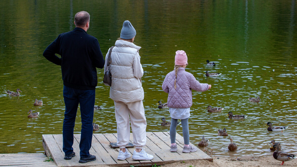 Невнимательность и системные сбои: как получить пособие на детей с первого раза?