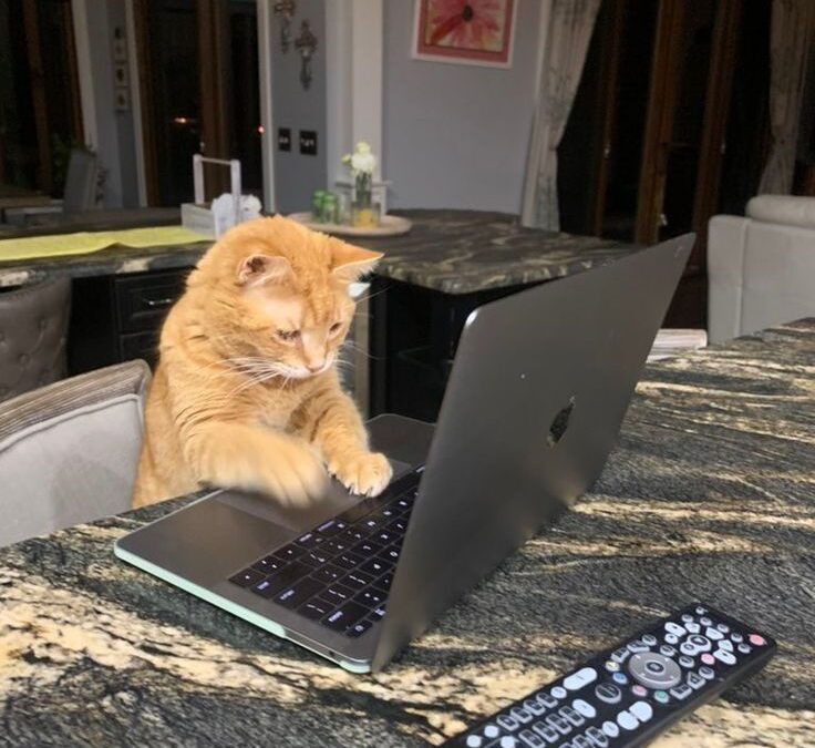 Начало Добро.Блога