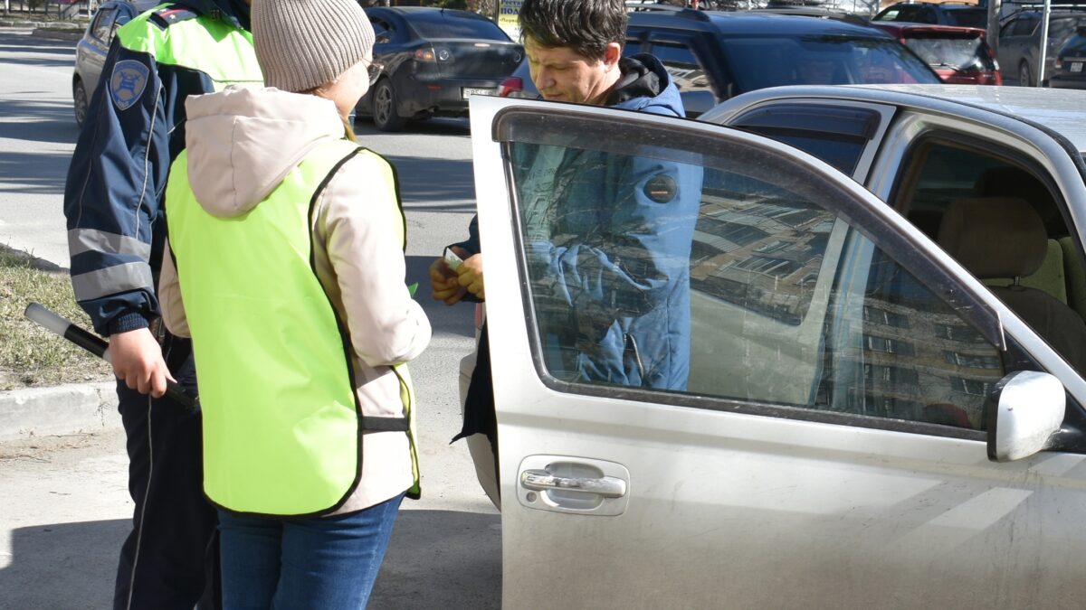 Профилактические акции ГИБДД как социальное явление в сфере добровольчества