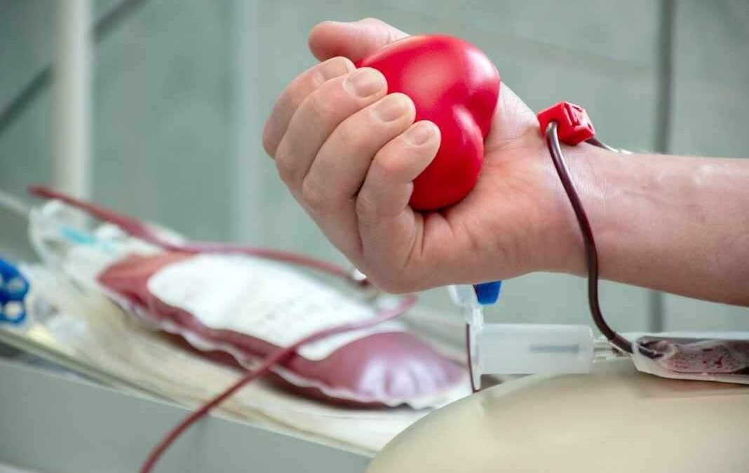 Особый рейс: Добро.Центр и работники Дворца культуры организовали донорский выезд в Тосно.