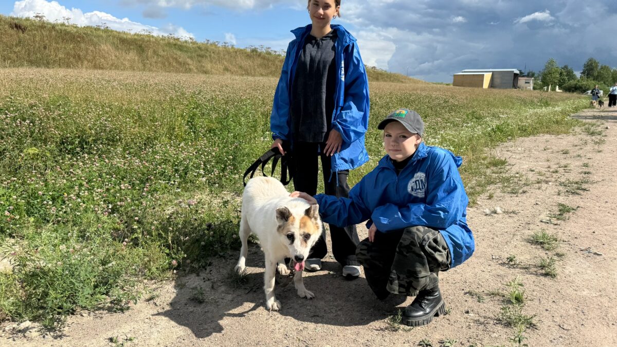 ДОБРАЯ СУББОТА: ПОМОГАЕМ ПРИЮТУ «ЛАПУШКИ»