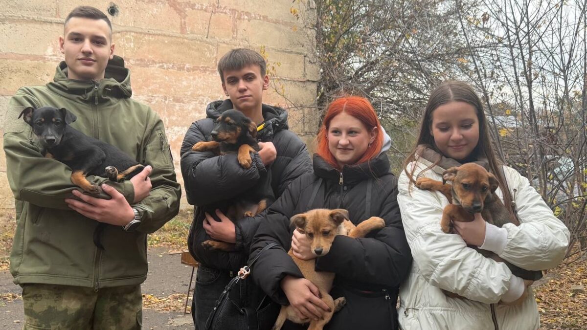 Волонтеры ГБОУ ЛНР «ЛУВК №51 имени 10-летия Республики» передали помощь приюту…