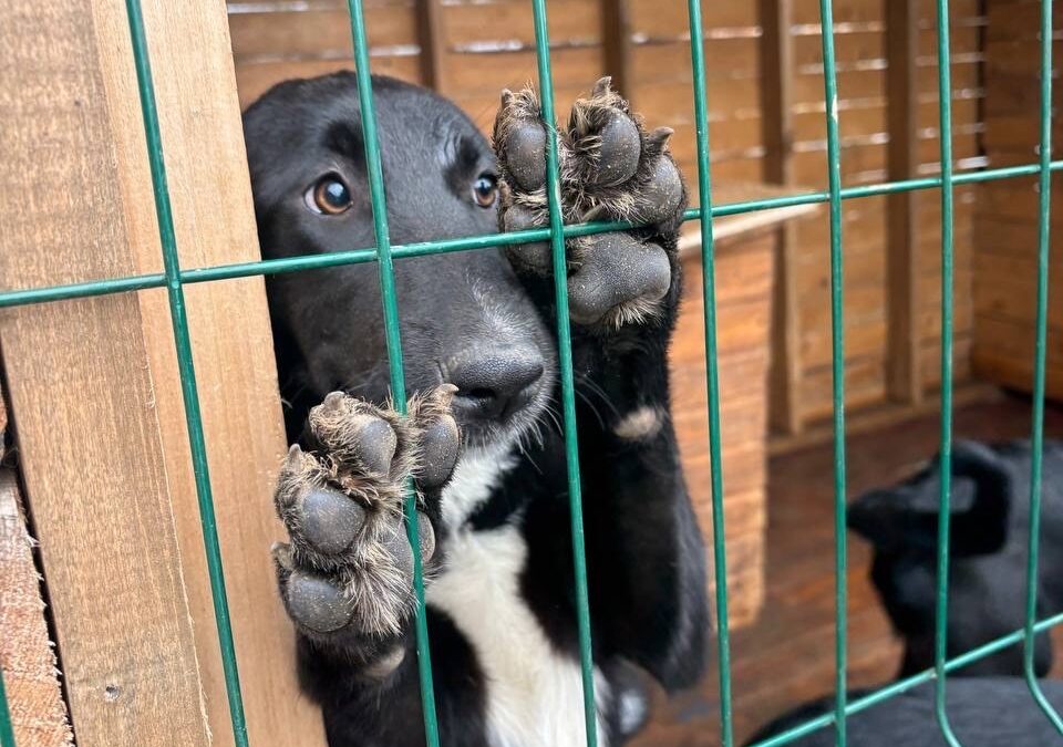 Остановись. Взгляни. Услышь.