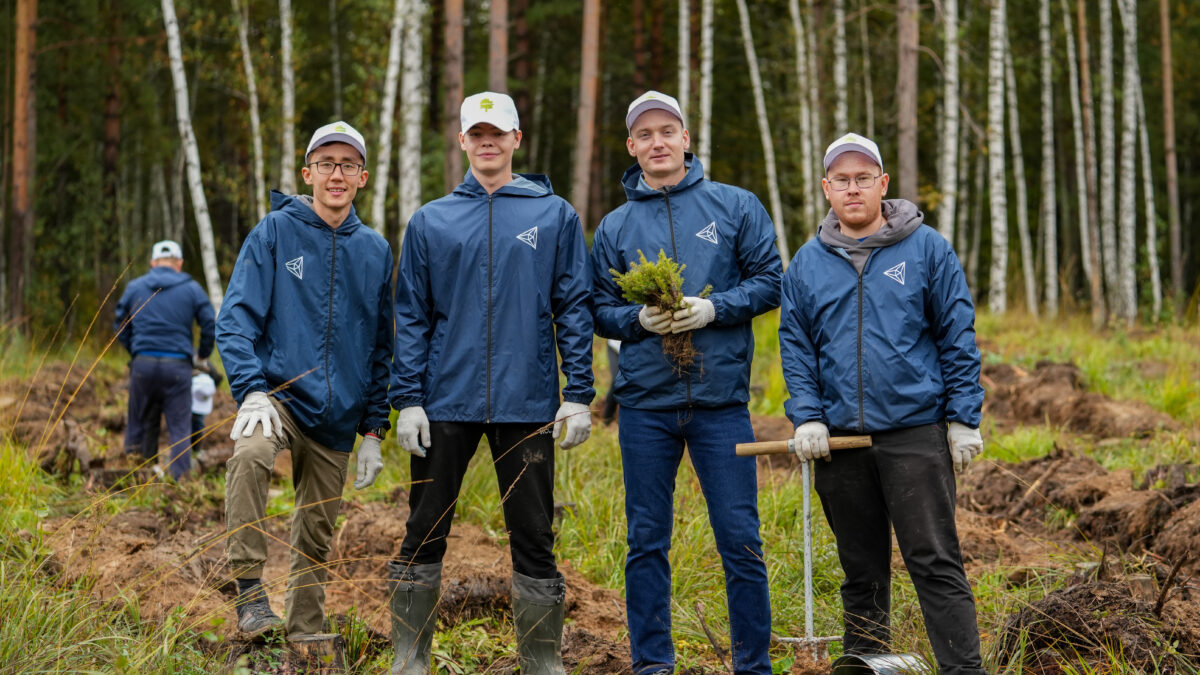 Почти 6 000 молодых деревьев высадили в Свердловской области