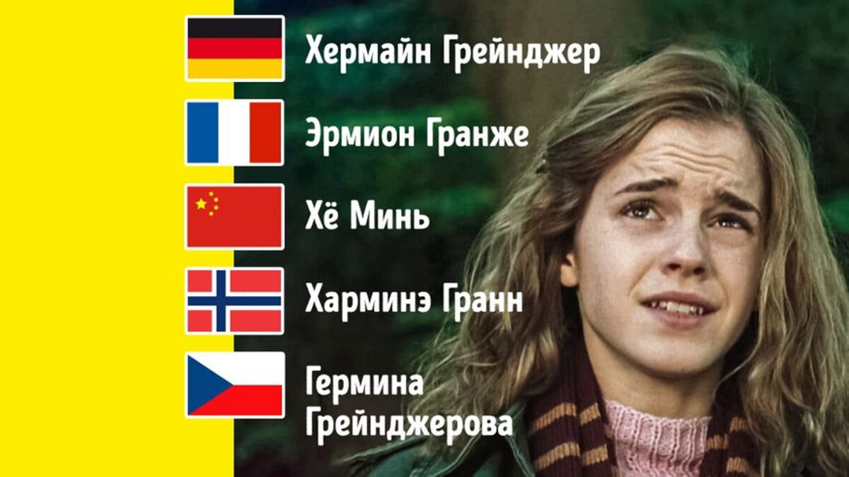 «Филологи. Эти извращенцы называются филологи»: как перевод зарубежной литературы влияет на наше…