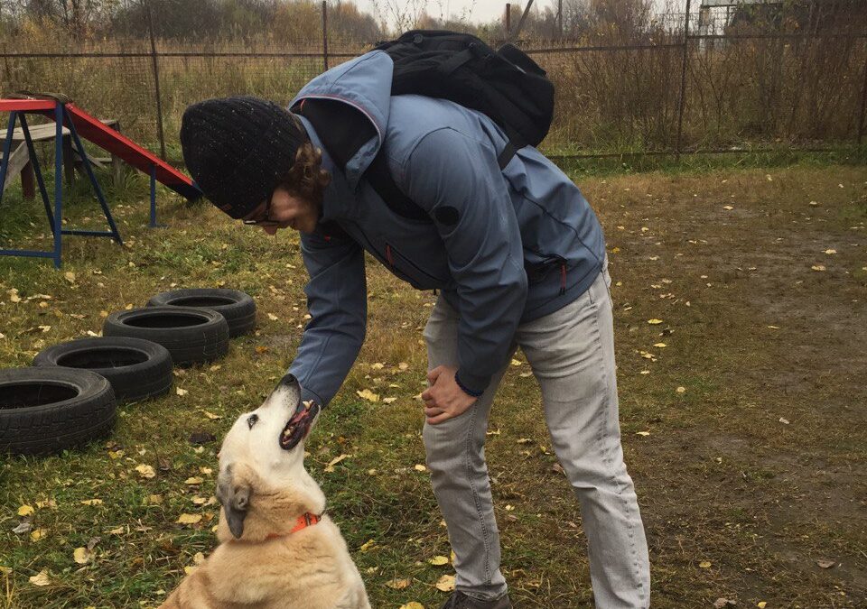 Сердца, открытые для тех, кто не может просить о помощи: ежемесячные выгулы и сборы помощи…