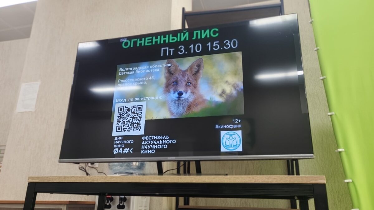 Приключения огненного лиса