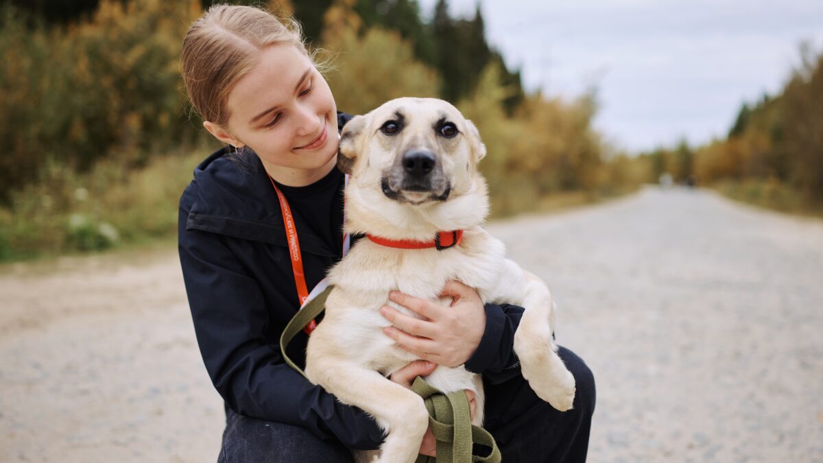 Открыт набор на онлайн-курс для сотрудников приютов и волонтёров-зоозащитников