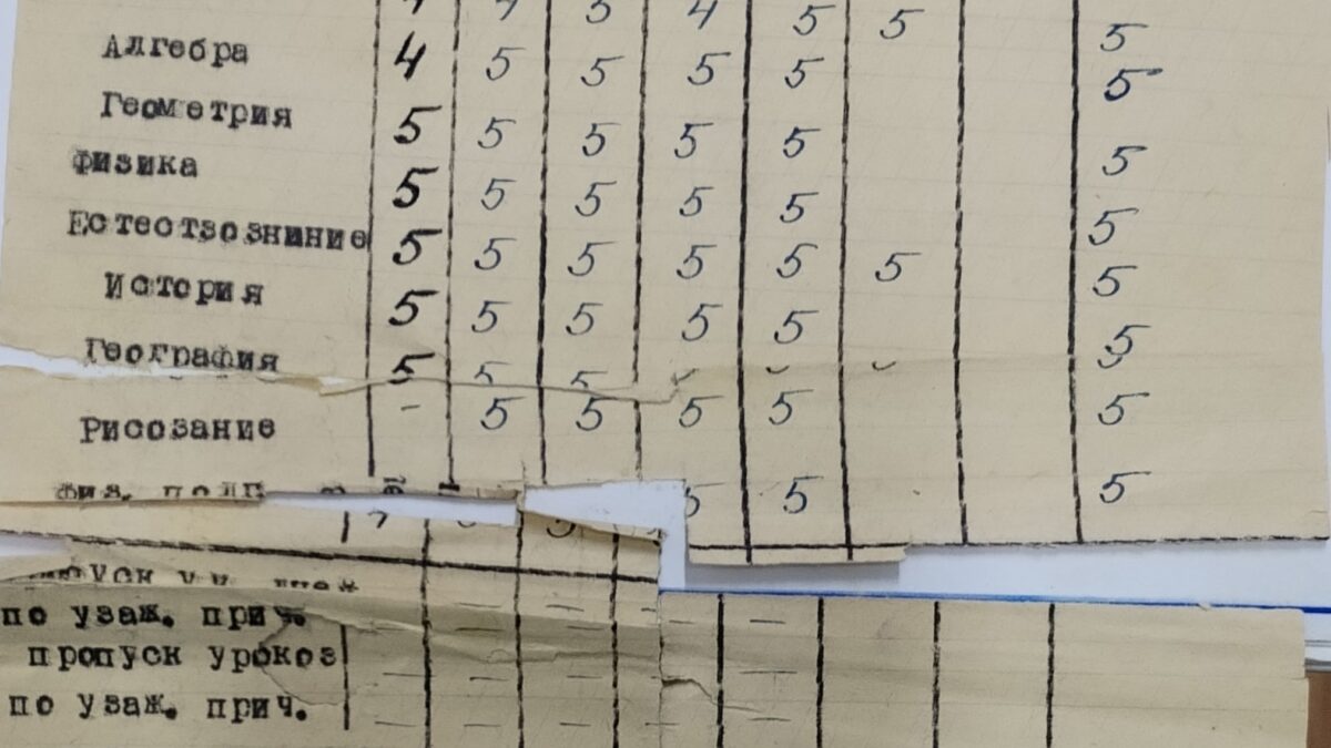 Сила, которую не сломить. История одной ведомости.