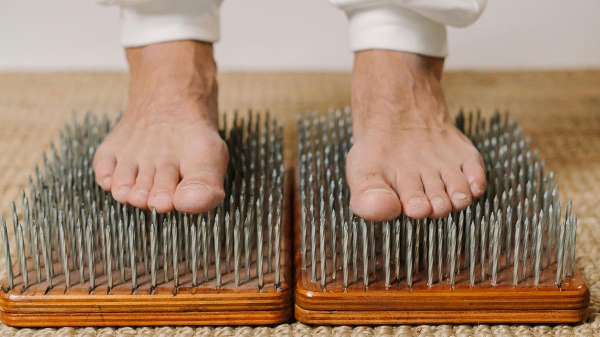 День гвоздестояния: история, традиции, вред и польза