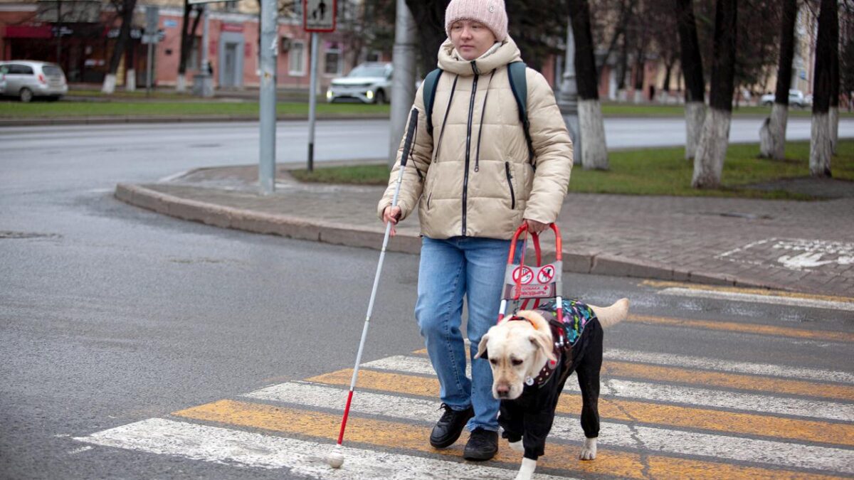 Минтруд увеличит выплаты на собак-проводников для незрячих