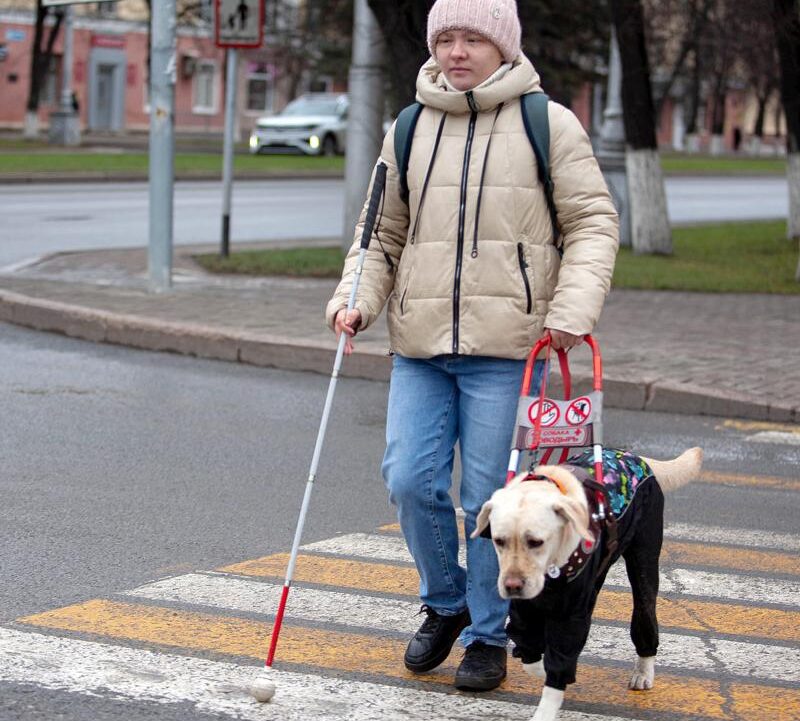 Минтруд увеличит выплаты на собак-проводников для незрячих