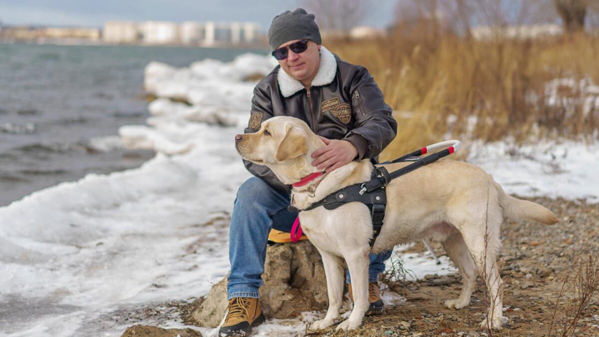 Незрячие люди два года ждут своих поводырей. Почему так долго?