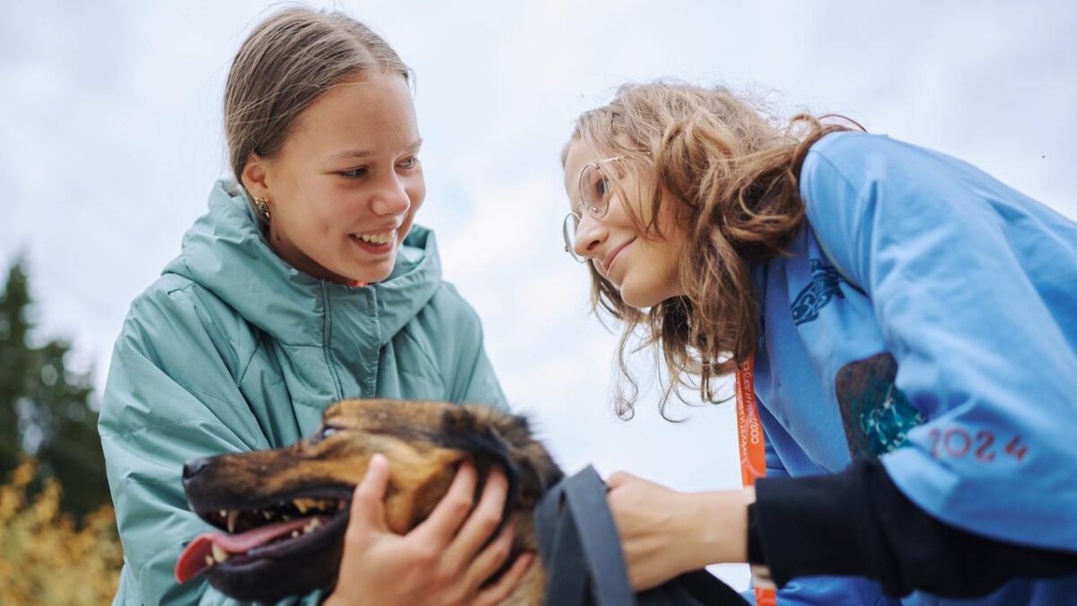 Договор с волонтёром: как составить и где скачать образец?