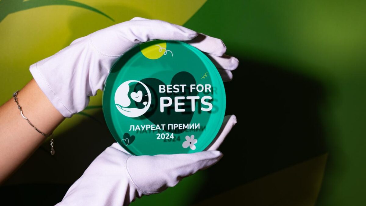 В Москве объявят победителей Премии об ответственном отношении к животным 