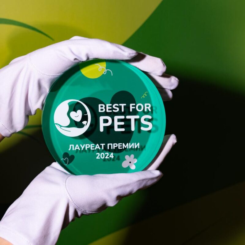 В Москве объявят победителей Премии об ответственном отношении к животным 