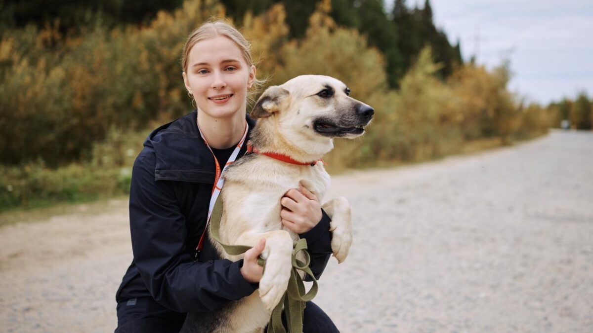 Тренд на pet-friendly: как в России бизнес помогает животным