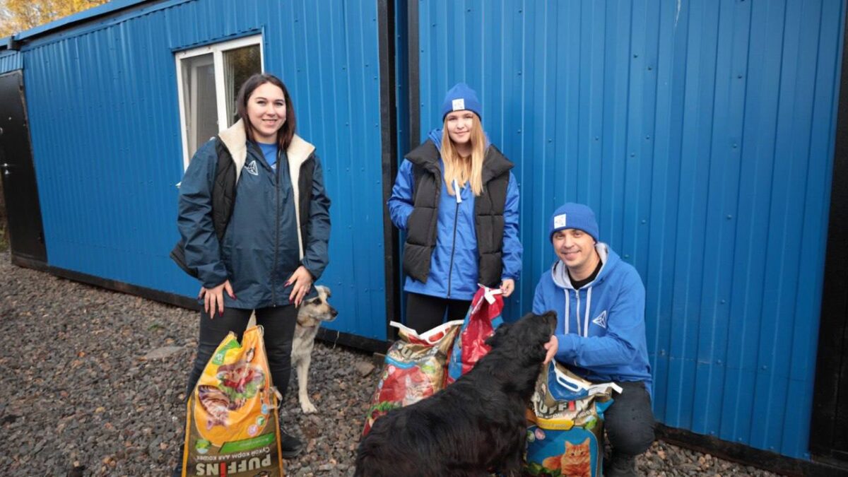 Волонтёры посетили приют для животных «Дай лапу, друг» в Амурске
