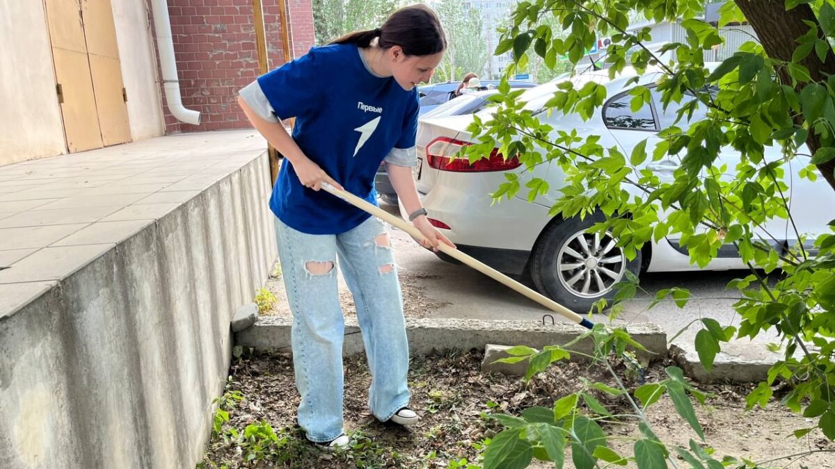 Стиль жизни – Эко: Как маленькие шаги меняют мир к лучшему