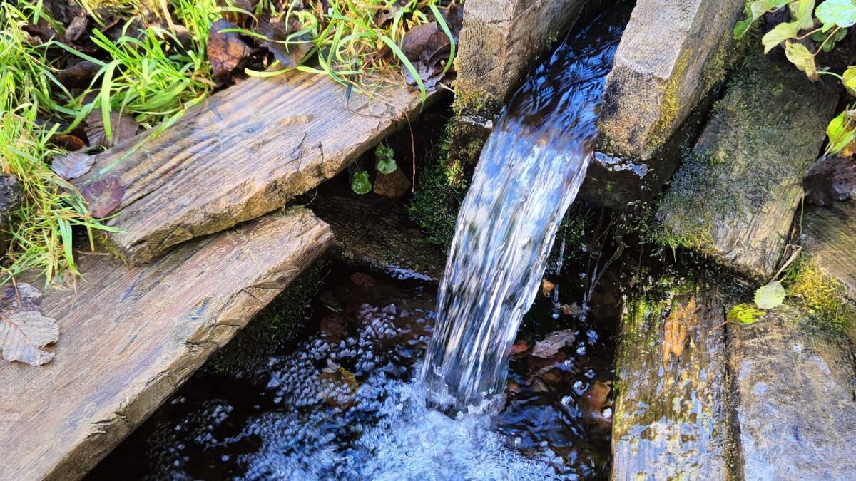 Краеведческая экспедиция в Федово: по следам знаменитых уроженцев
