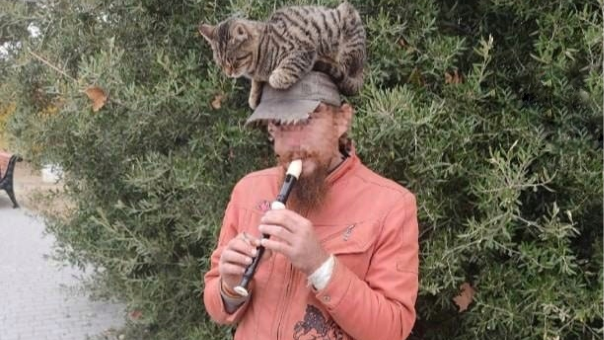 Часами сидел на голове мужчины: знаменитый кот уличного музыканта не может найти дом после трагедии