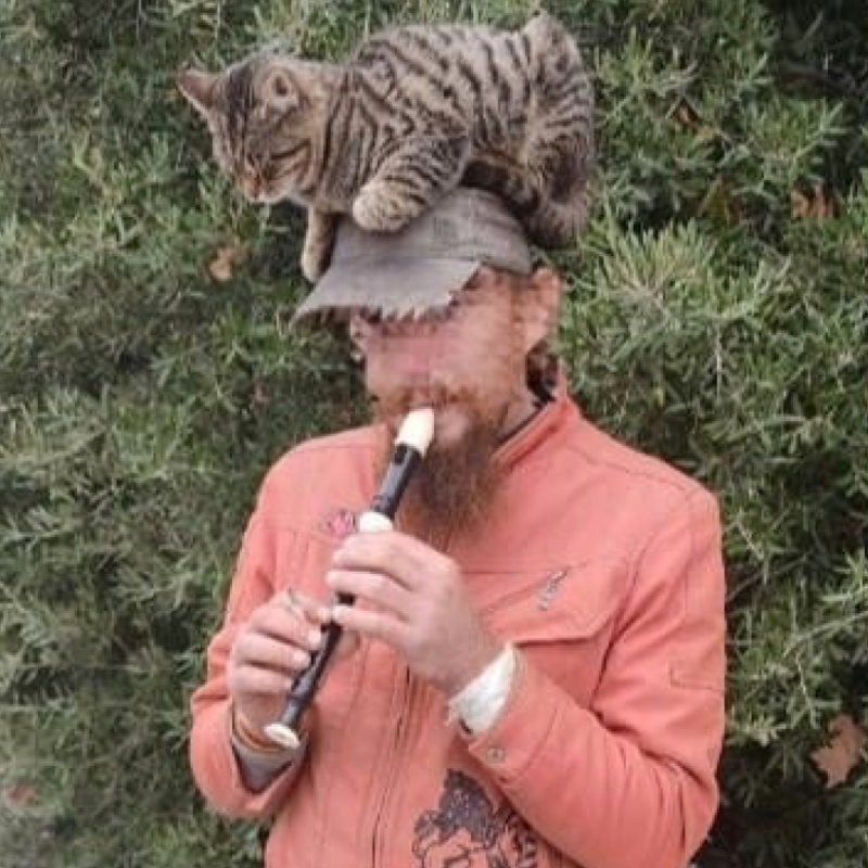 Часами сидел на голове мужчины: знаменитый кот уличного музыканта не может найти дом после трагедии