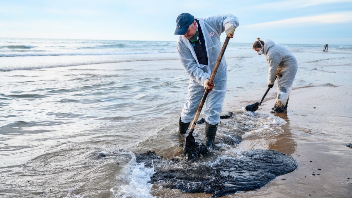 Нетология и Добро.рф запустили бесплатный курс о волонтёрстве в ЧС