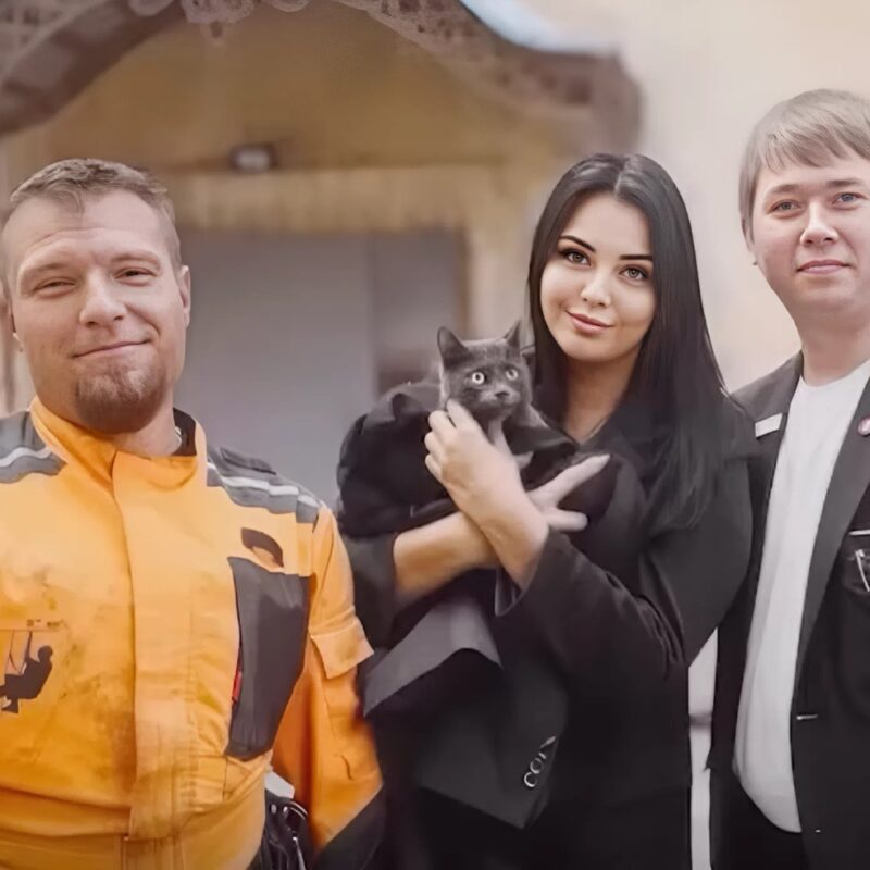 Помощь животным в тренде: сотрудники банка спасли кошку, которая два дня просидела на крыше