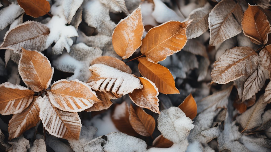 Россия входит в предзимье: синоптики предупреждают – тепла больше не будет