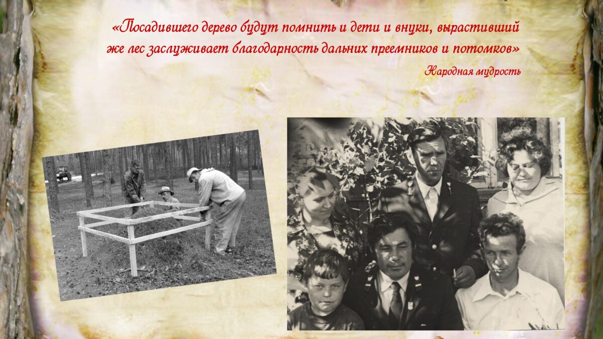 Исторический очерк: Советский лесхоз